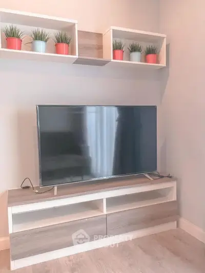 Modern living room with sleek TV stand and decorative plants