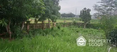 Lush green garden with mature trees and a rustic wooden fence, offering a serene and natural outdoor space.