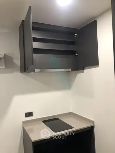 Modern kitchen with sleek cabinetry and electric cooktop in a compact space.