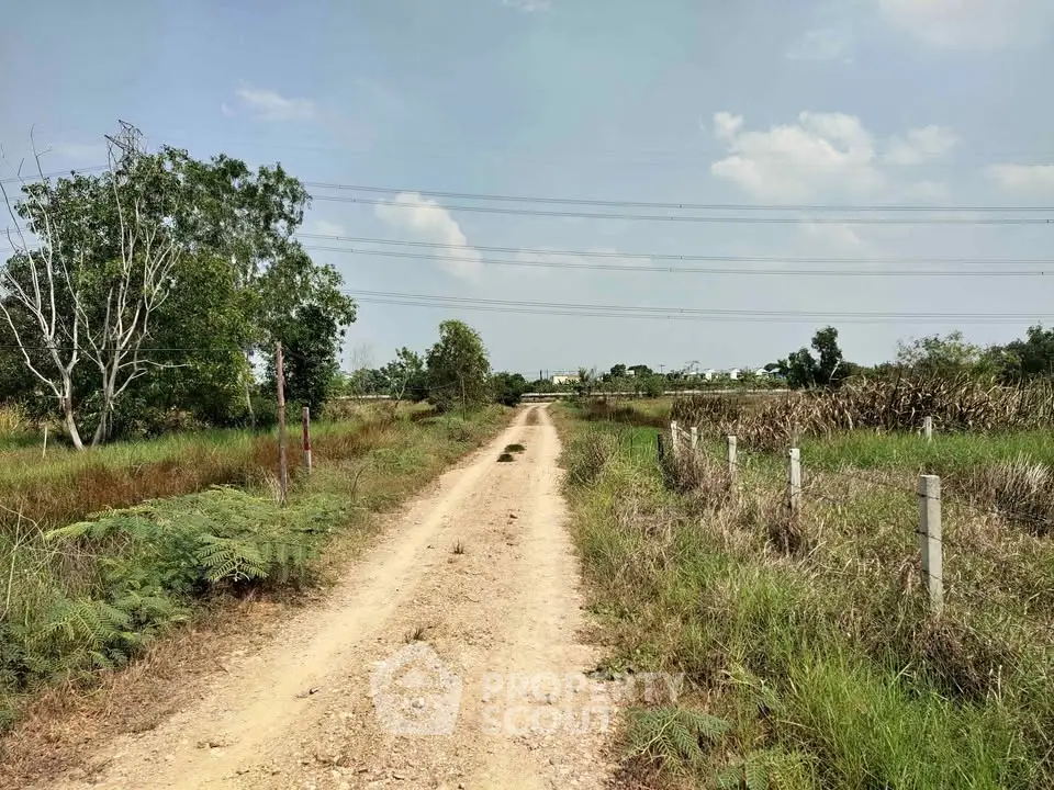 Expansive rural land with dirt road, ideal for development or agriculture, offering serene countryside views.