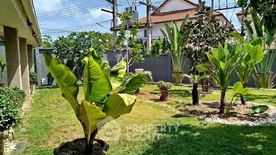 Lush garden with tropical plants in a residential backyard