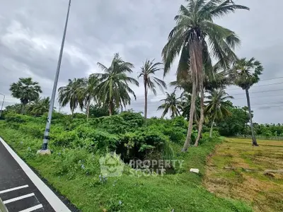 Lush green landscape with palm trees and open field, perfect for serene living.