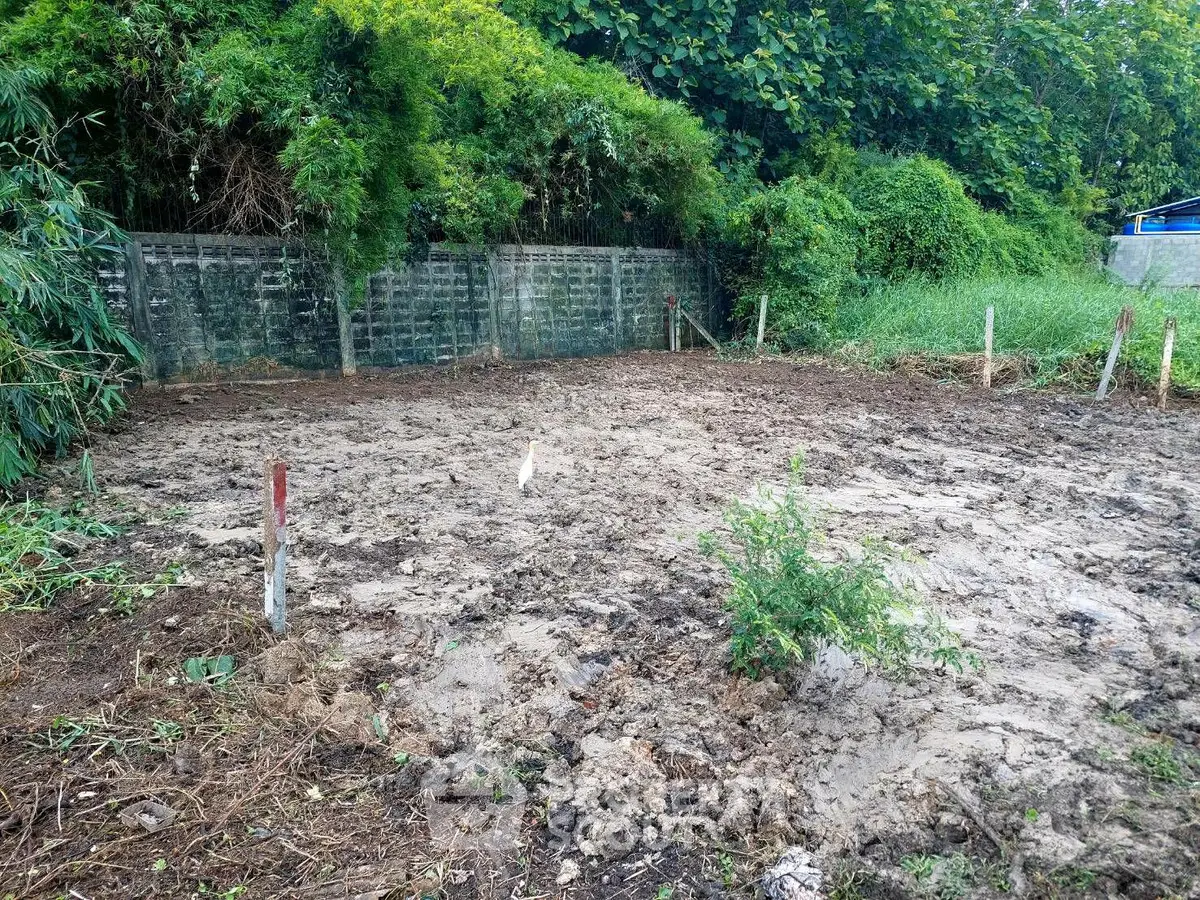 Vacant land plot with lush greenery, ideal for development opportunities.