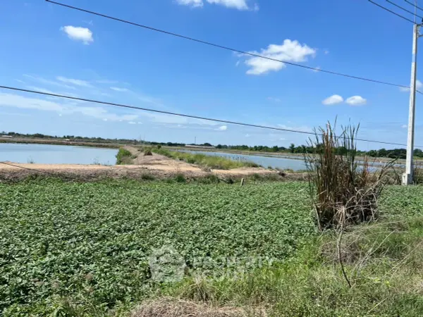 image_rental-28179088