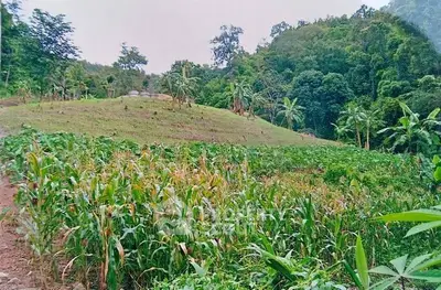 image_rental-29684681