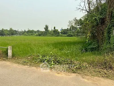 Expansive green field perfect for development with lush surroundings and road access.