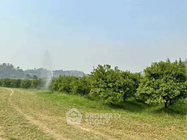 image_rental-29785409