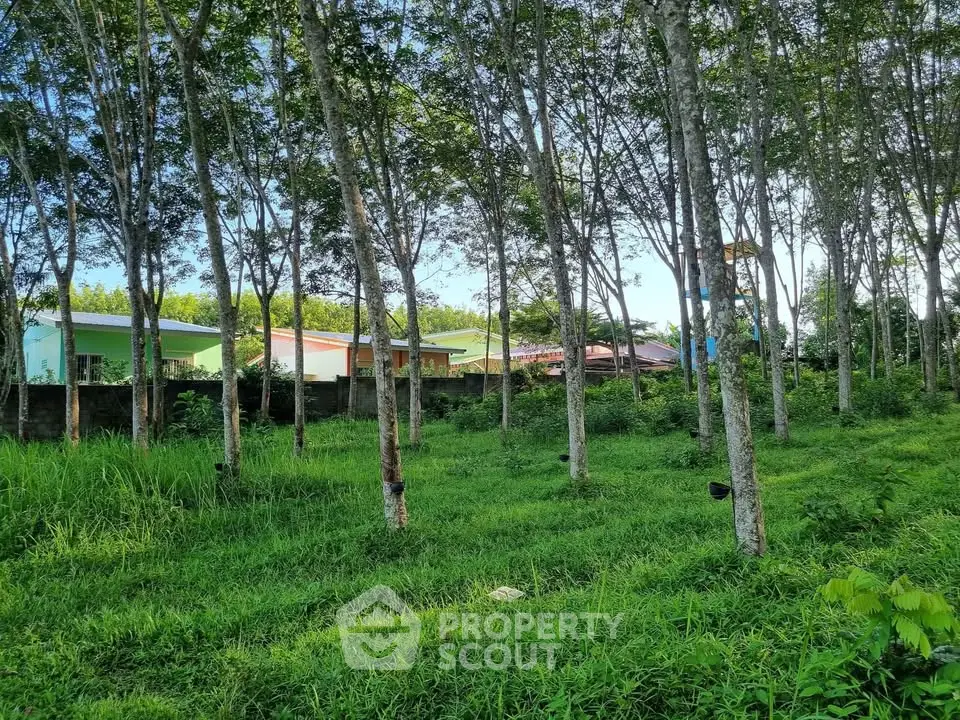 Lush green landscape with trees and colorful houses in the background, perfect for serene living.