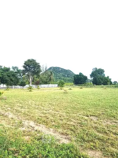 Scenic view of expansive green field with mountain backdrop, ideal for real estate development.