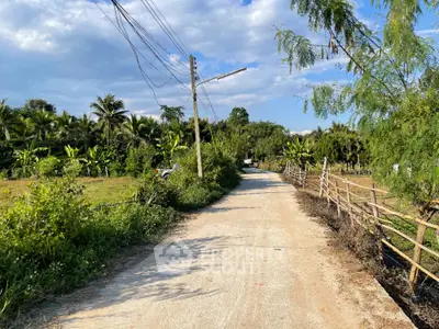 Serene country road flanked by lush greenery and traditional fencing, leading to a tranquil rural landscape perfect for a peaceful living experience.
