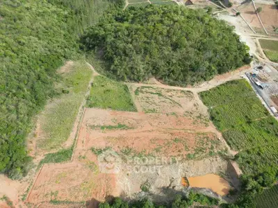 Aerial view of expansive land plot with lush greenery and development potential.