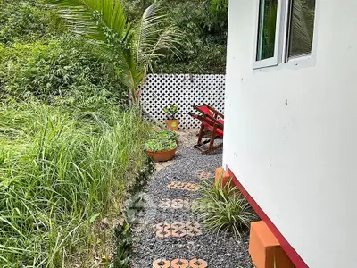 image_rental-28179757