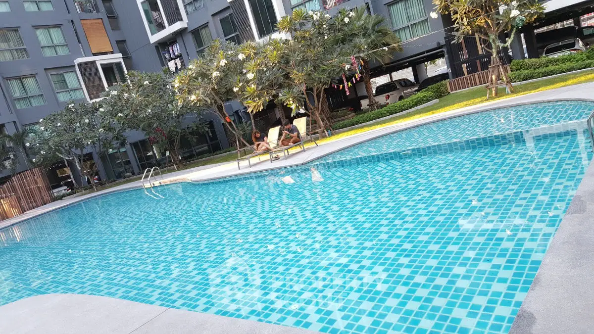 Luxurious residential pool area with modern building backdrop and lush greenery.