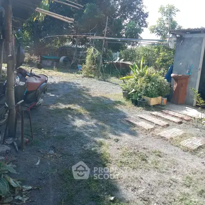 Charming rustic garden with outdoor sink and lush greenery, ideal for nature lovers.
