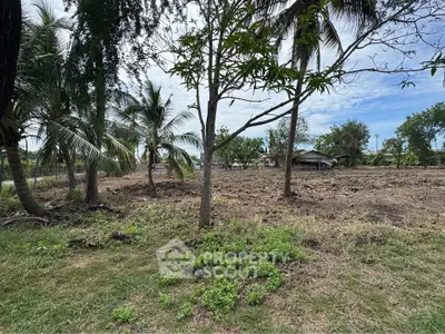 Spacious vacant land with lush greenery and palm trees, ideal for development or investment opportunities.