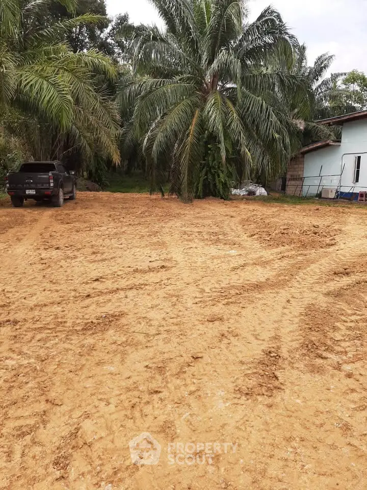 Spacious land plot with lush palm trees and a nearby house, ideal for development.
