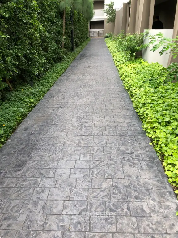 Charming garden pathway leading to a modern building entrance, surrounded by lush greenery.