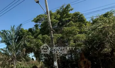 Screenshot 2026-01-26 133704.png