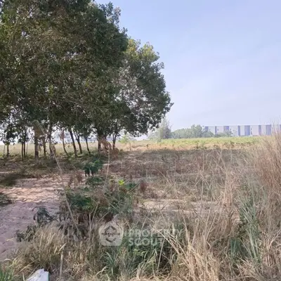 Expansive plot of land with lush greenery and distant modern building view.
