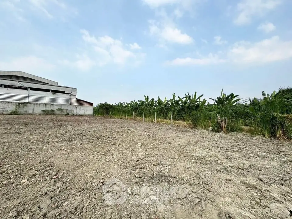 Expansive land plot with lush greenery, ideal for development opportunities.