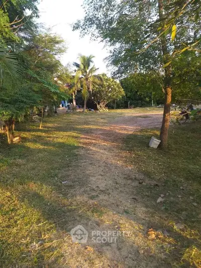 Expansive garden area with lush greenery and mature trees, perfect for outdoor activities and relaxation.