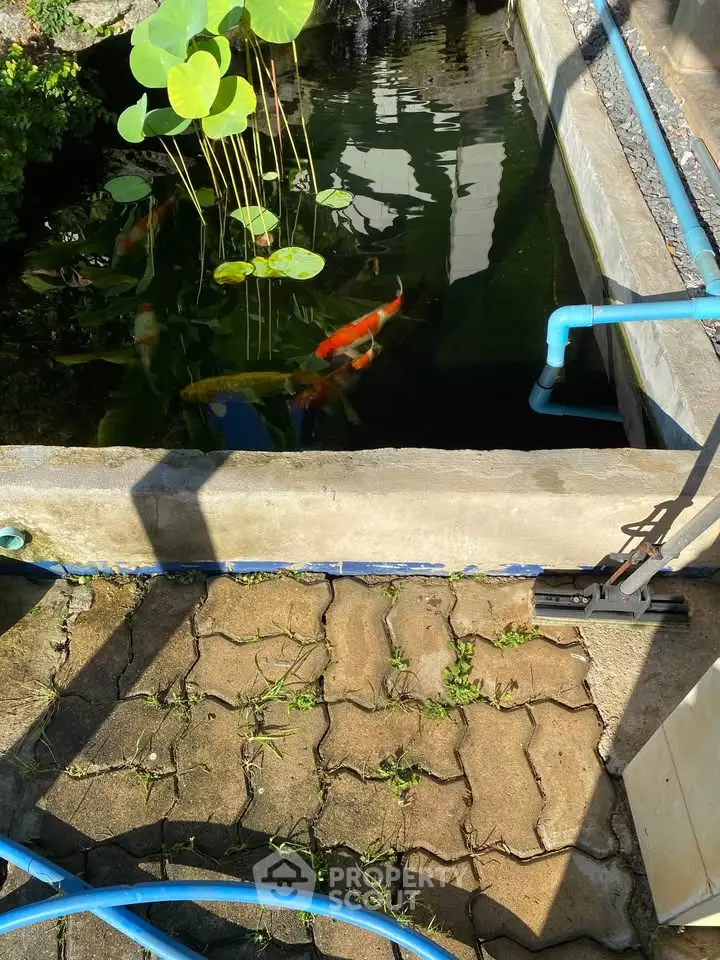 Charming garden pond with vibrant koi fish and lush greenery, perfect for tranquil outdoor living.