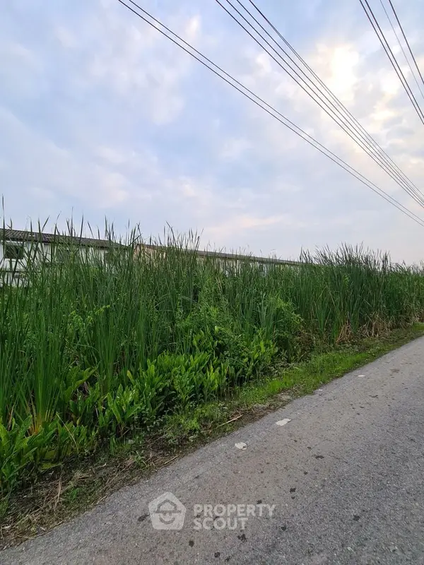 image_rental-13921006