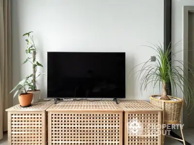 Modern living room with stylish TV stand and indoor plants