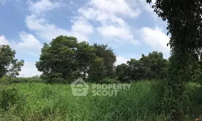 image_rental-28219055