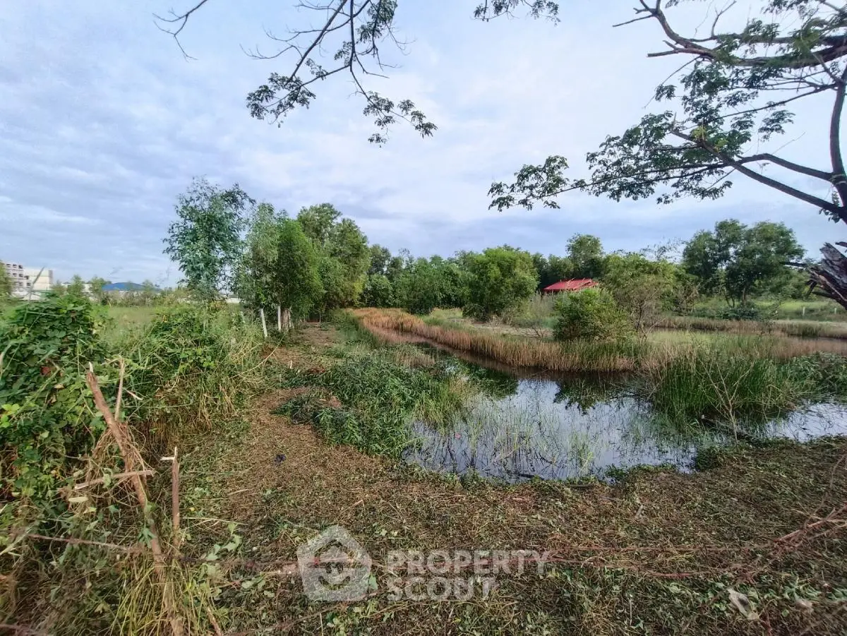Expansive land with lush greenery and serene water feature, perfect for development opportunities.