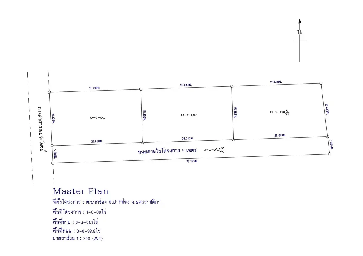 Master plan schematic showing plot dimensions and layout for real estate development.
