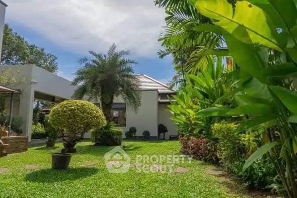 Lush garden view with tropical plants and modern house exterior.