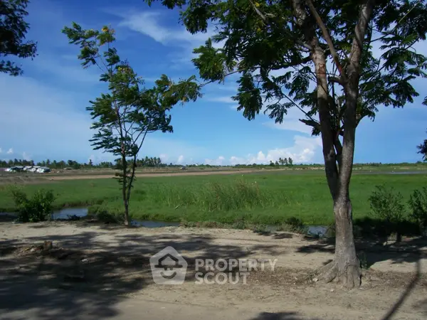 image_rental-18851718