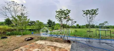 Expansive green landscape with young trees, perfect for serene living or development.