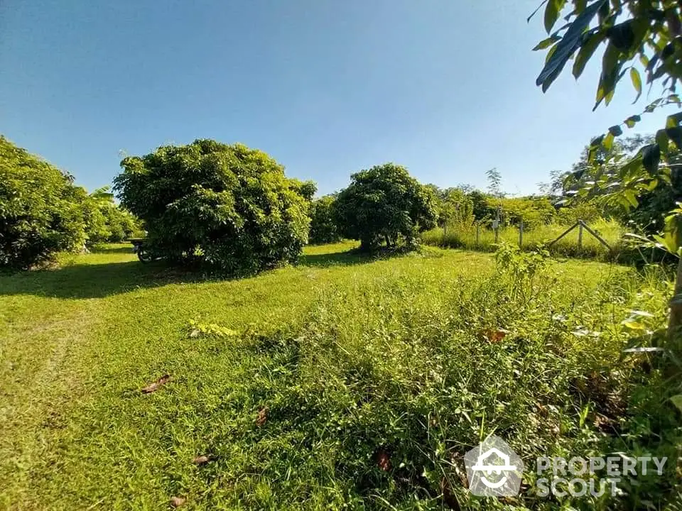 Lush green garden with fruit trees under a clear blue sky, perfect for serene outdoor living.