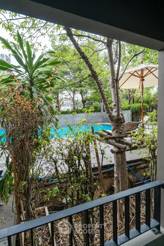 Charming garden view with poolside relaxation area and lush greenery.