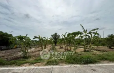 image_rental-27778058