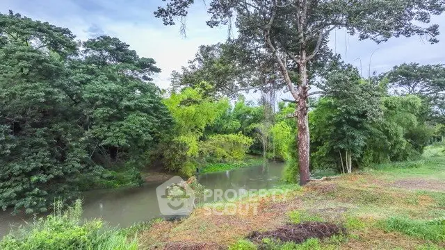 Scenic river view surrounded by lush greenery, ideal for tranquil living or development opportunities.