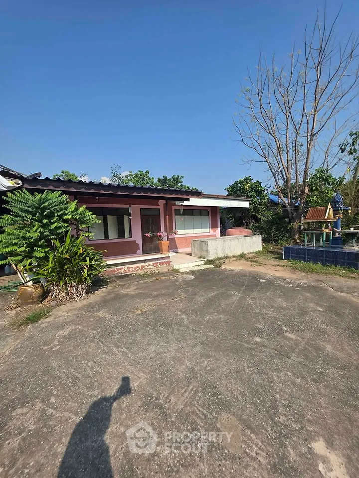 Charming single-story home with spacious driveway and lush greenery, perfect for serene living.