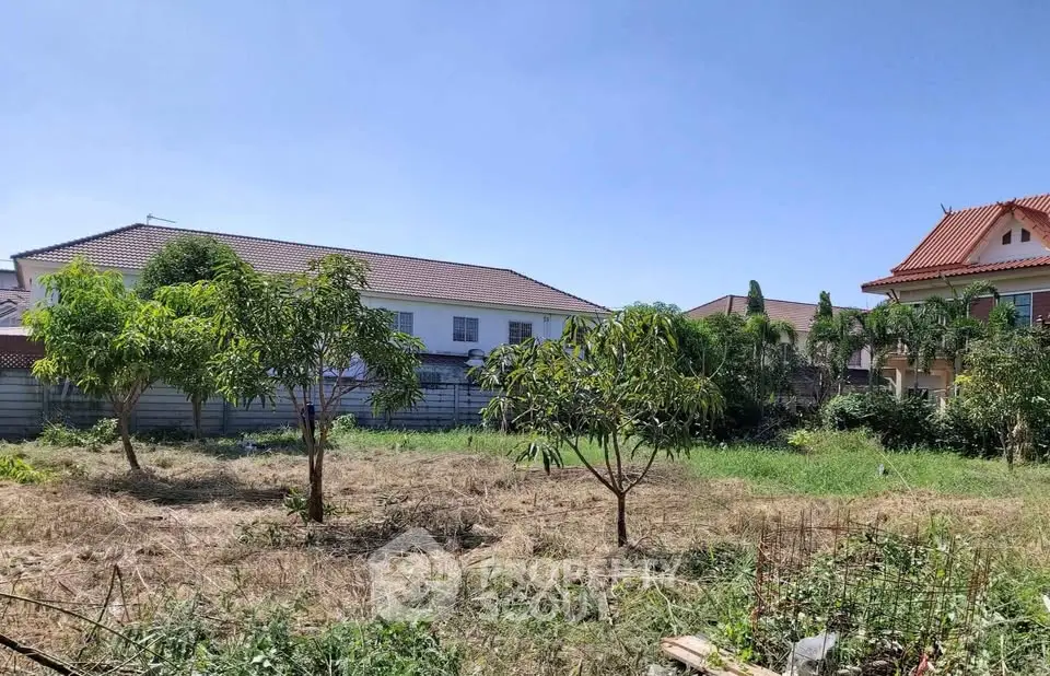 Spacious residential land with lush greenery and neighboring houses, perfect for building your dream home.