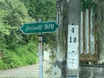 Charming street view with lush greenery and rustic architectural details.