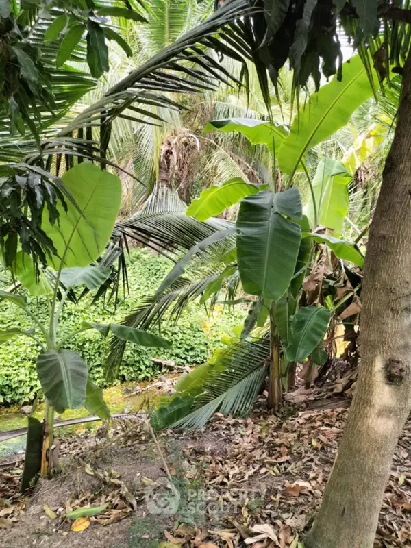 image_rental-25101651