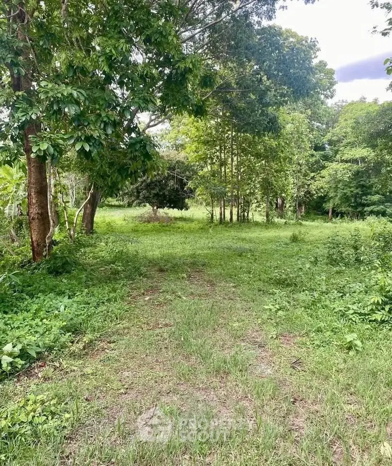 Lush green land with mature trees, perfect for development or a serene retreat.