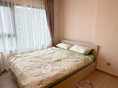 image_rental-30520059