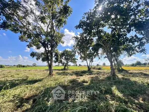 image_rental-29137896