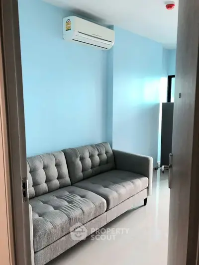 Cozy small living room with modern gray sofa and blue walls