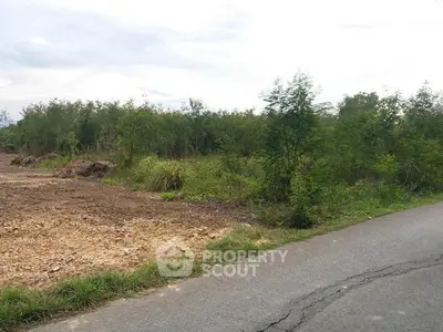 Vacant land plot with road access, ideal for development opportunities.