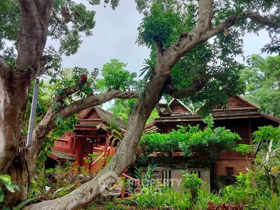 Charming rustic wooden house surrounded by lush greenery and mature trees, offering a serene natural retreat.