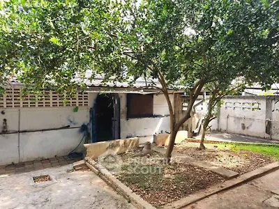 Charming backyard with lush greenery and mature trees, perfect for outdoor relaxation and gardening.