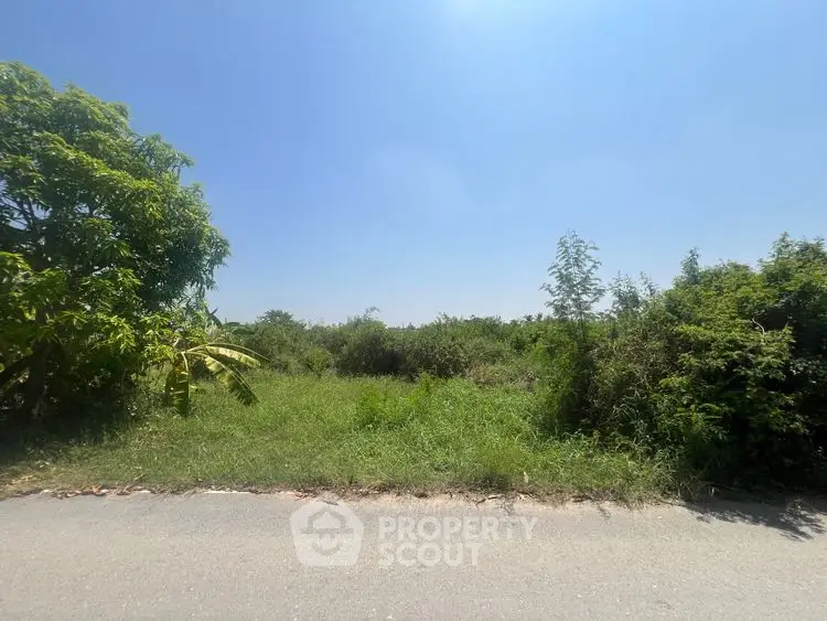 Expansive green land plot with lush trees under a clear blue sky, perfect for development.